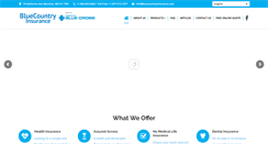 Desktop Screenshot of bluecountryinsurance.com